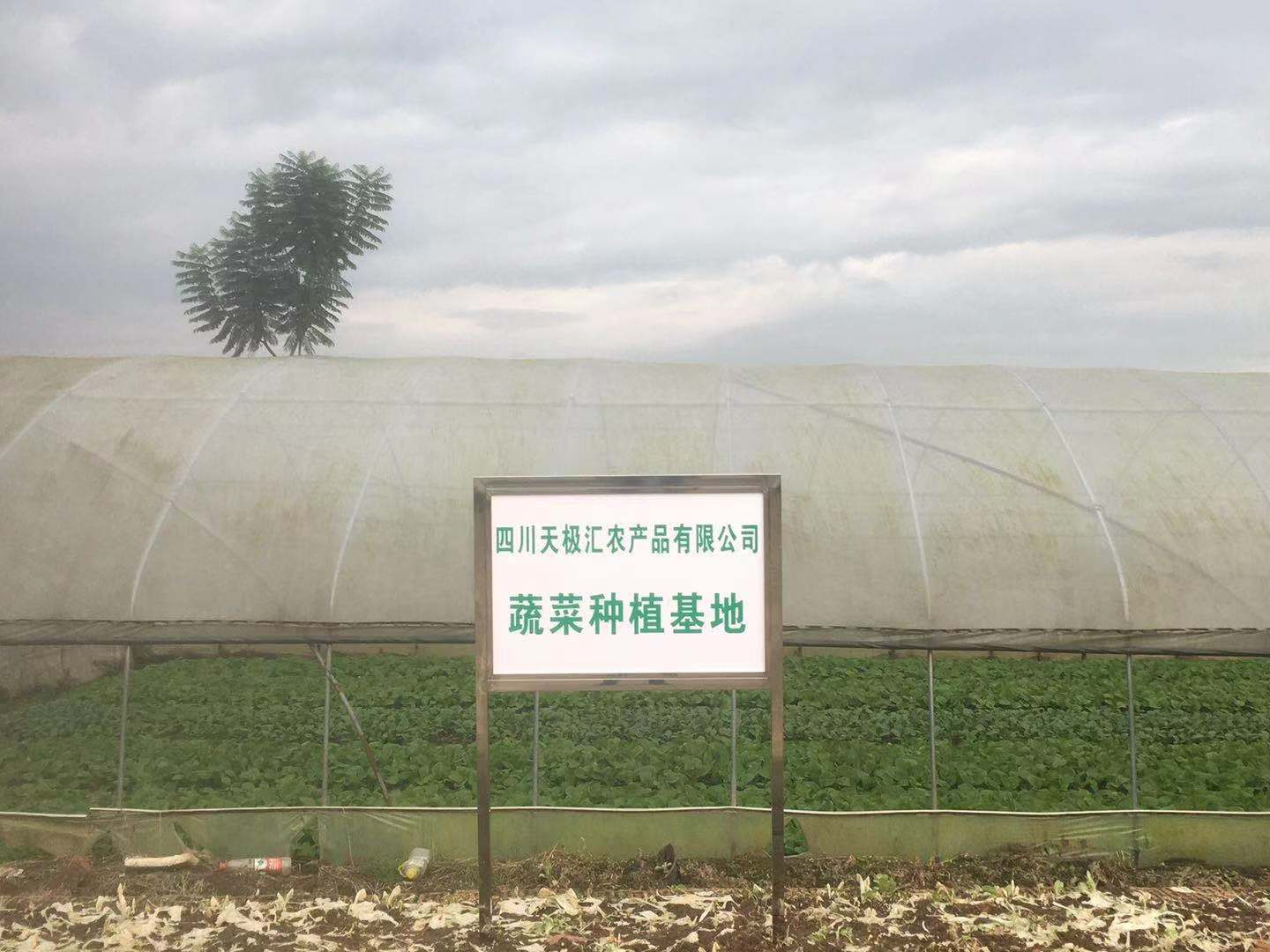 欧宝官方网站入口 -蔬菜种植基地
